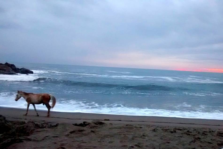 passing-by-on-the-beach