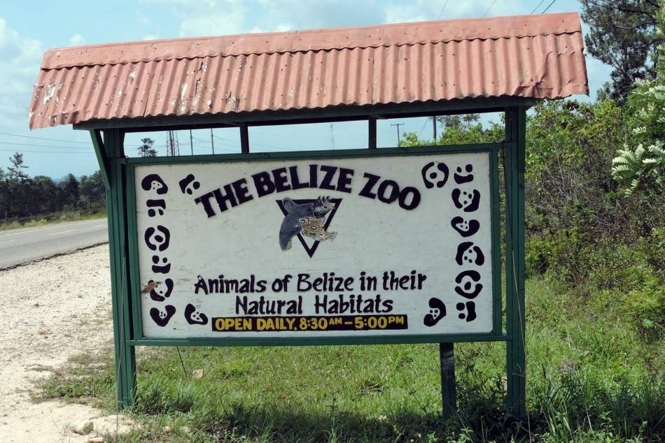 Belize City & Zoo