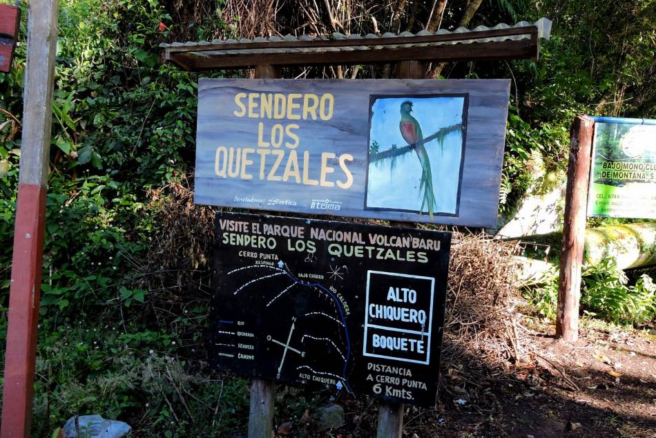 Sendero Los Quetzales, Boquete, PAN