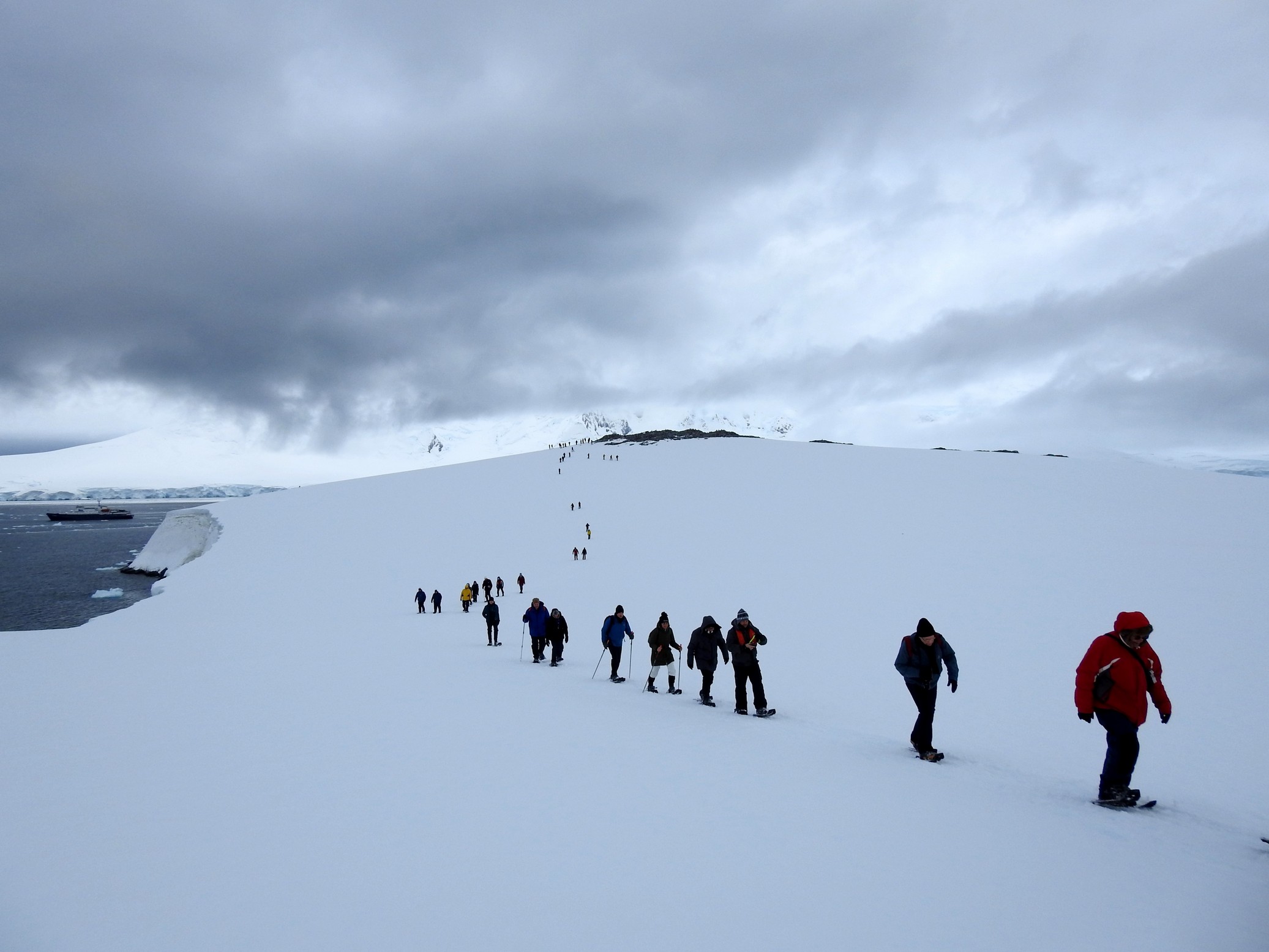 Antarctica, Day 8 am – Damoy Point