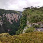 Read more about the article Beginning Our Escape Through Brazil