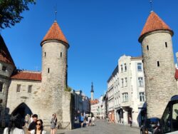 Read more about the article Estonia