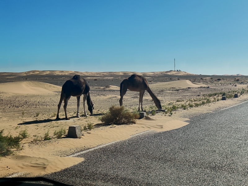 We drive southeast in Morocco
