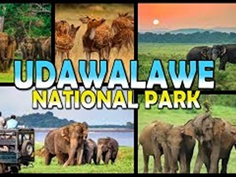 Udawalawe National Park, Sri Lanka