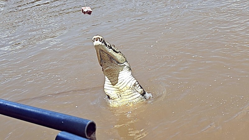 You are currently viewing We Finish Our Time in the NT