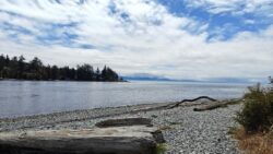 Read more about the article Visits on Vancouver Island, BC