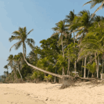 Read more about the article Saud Beach & south back to Manila, PH