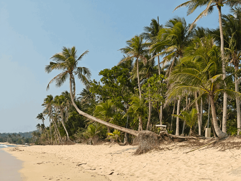 You are currently viewing Saud Beach & south back to Manila, PH