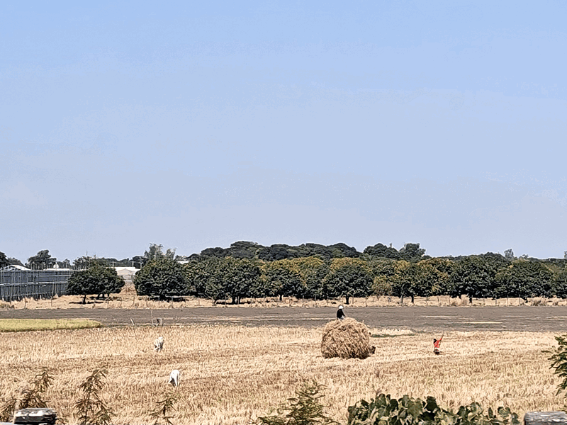 Our final days – on to Manila, PH