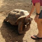 Read more about the article Africa 2 – Rodrigues Island, Mauritius