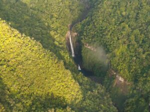 Read more about the article Africa 1 – Réunion – Part Two