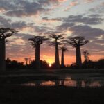 Read more about the article Africa 3 – Western Madagascar