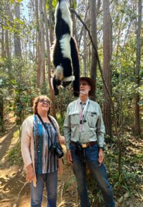 Read more about the article Africa 3 – Eastern Madagascar
