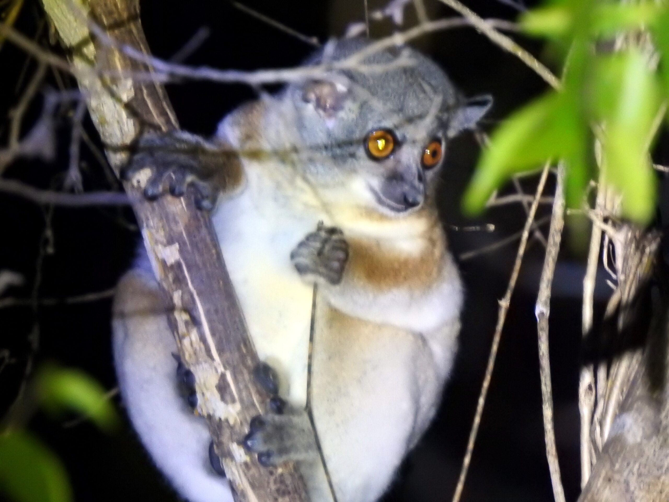 Madagascar – Days 1 and 2